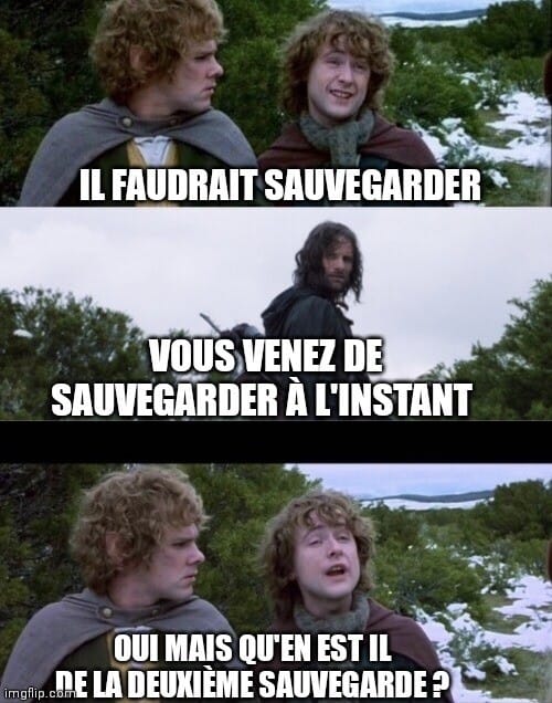 Scène du film "Le Seigneur des Anneaux : la communauté de l'anneau" où Merry et Pippin discutent des repas avec Aragorn. La scène est en 3 phases : la première où l'on voit Merry et Pippin dire "Il faudrait sauvegarder". La deuxième où l'on voit uniquement Aragorn se retourner et leur dire "Vous venez de sauvegarder à l'instant !" et la troisième et dernière partie où l'on retrouve Pippin lui répondre : "Oui, mais qu'en est-il de la deuxième sauvegarde ?"