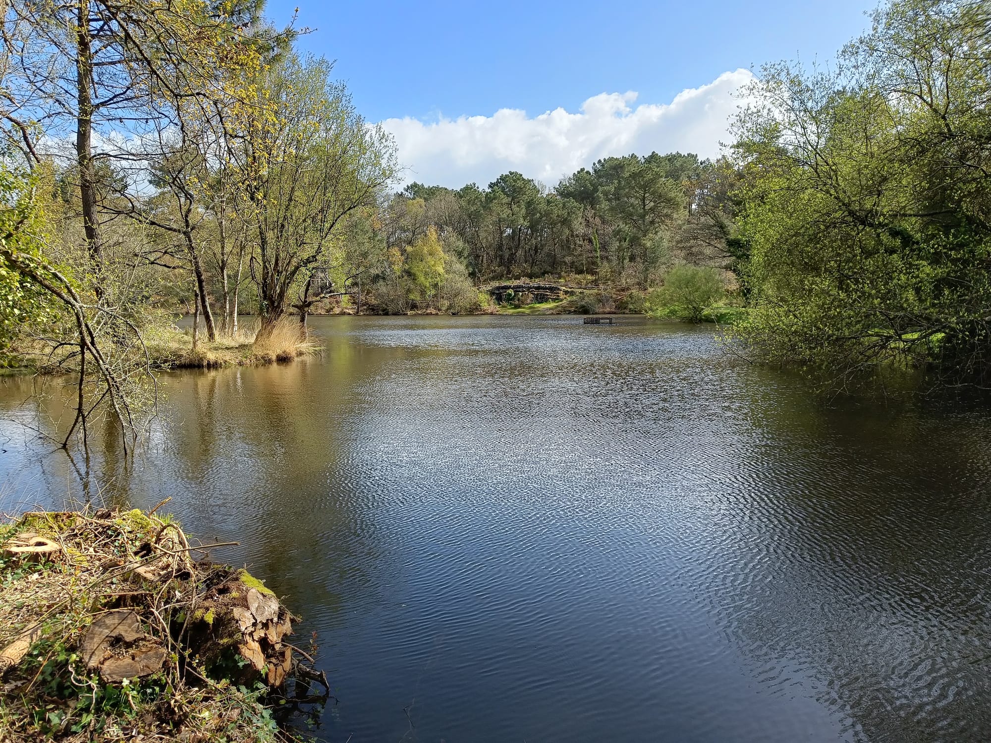 Photo depuis le bord de l'étang près de l'auberge. Un étang couleur bleu/vert, avec des arbres l'encadrant et un petit promontoire rocheux en fond.